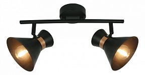 Спот Arte Lamp Baltimore золото арт. A1406AP-2BK