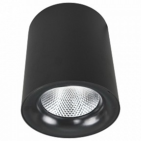 Накладной светильник Arte Lamp Facile черный арт. A5112PL-1BK