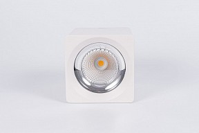 Накладной светильник Fiberli CH-SD220 белый арт. 12120101