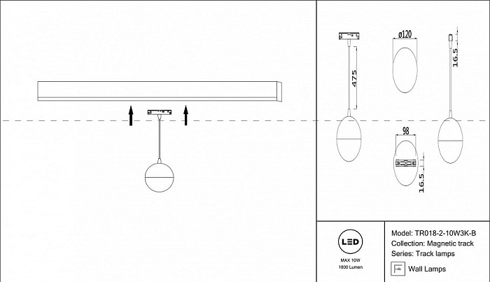 Подвесной светильник Maytoni Track lamps черный арт. TR018-2-10W3K-B
