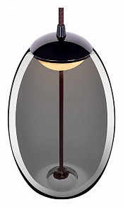 Подвесной светильник Loft it Knot черный арт. 8134-A mini