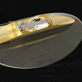 Накладной светильник Lussole Lampasas золото арт. LSP-7422