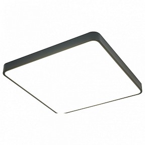 Накладной светильник Arte Lamp Scena черный арт. A2669PL-1BK