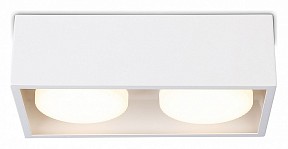 Накладной светильник Ambrella Light TN белый арт. TN70828