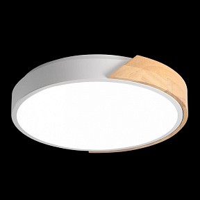 Накладной светильник Jazzway Sсandic  арт. 5036956