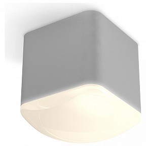 Накладной светильник Ambrella Light XS серый арт. XS7807011