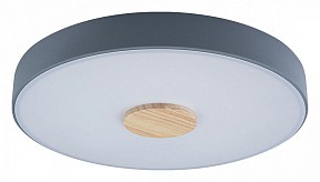 Накладной светильник Loft it Axel 2 серый арт. 10003/24 Grey