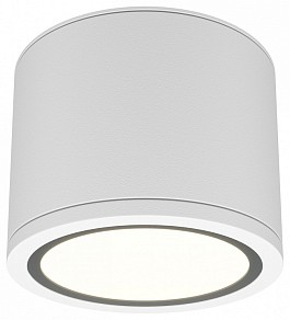 Накладной светильник Maytoni Rendo белый арт. C095CL-GX53-W