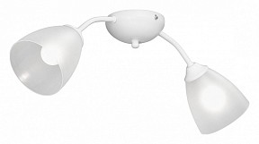 Накладной светильник Vitaluce V3737 белый арт. V3737-0/2PL