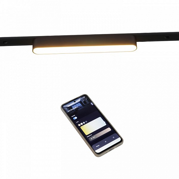 Накладной светильник Reluce 13001 черный арт. 13001-9.3-001UR magnetic LED12W BK CCT+SMART
