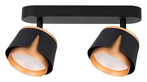 Спот Arte Lamp Amaks черный арт. A8028PL-2BK
