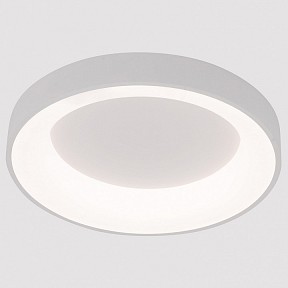 Накладной светильник Arte Lamp None белый арт. A2695PL-50WH