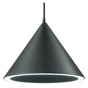 Подвесной светильник Lumion Lenny черный арт. 3724/24L