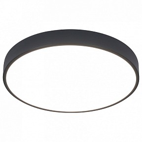 Накладной светильник Arte Lamp Arena черный арт. A2661PL-1BK