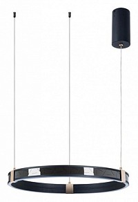 Подвесной светильник Arte Lamp Shine черный арт. A2222SP-1BK