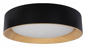 Накладной светильник Loft it Coin черный арт. 10202 Black