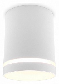Накладной светильник Ambrella Light TN белый арт. TN3202