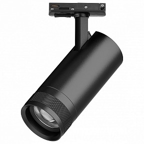 Светильник на штанге Lightstar Canno Pro черный арт. C4207SS