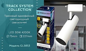 Светильник на штанге Ambrella Light GL белый арт. GL5853