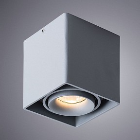 Накладной светильник Arte Lamp Pictor серый арт. A5654PL-1GY