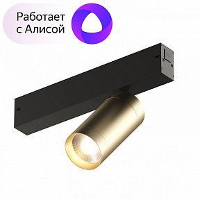 Светильник на штанге Denkirs Smart черный арт. DK8010-BG