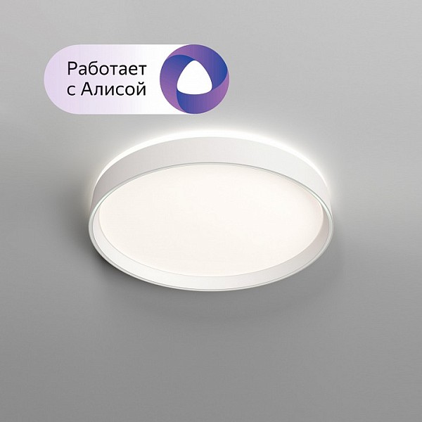 Накладной светильник Denkirs PLATO белый арт. DK6510-WH