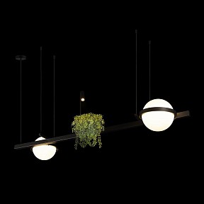 Подвесной светильник Loft it Jardin черный арт. 10121/D