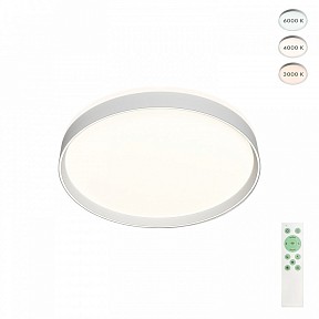 Накладной светильник Denkirs PLATO белый арт. DK6510-WH