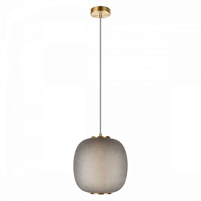 Подвесной светильник Loft it Hive бронза арт. 10425 Grey