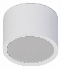 Накладной светильник Arte Lamp Intercrus белый арт. A5543PL-1WH
