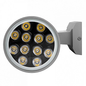 Накладной светильник Jazzway  серый арт. PWL-300110/30D 2x12w 6500K  GR