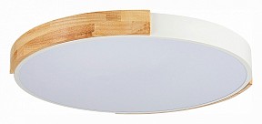 Накладной светильник EVOLUCE Delia белый арт. SLE201352-01