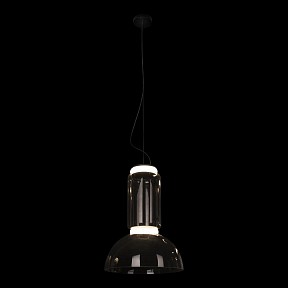 Подвесной светильник Loft it Noctambule черный арт. 10192/S