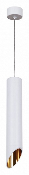 Подвесной светильник Reluce Technical 16007 белый арт. 16007-0.9-001LD 300mm GU10 WT+GD