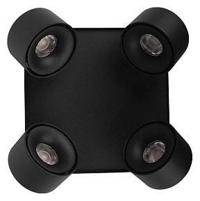 Спот Loft it Case черный арт. 10326 Black