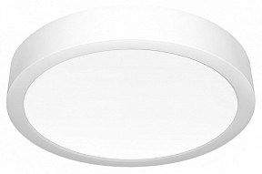 Накладной светильник Citilux Галс белый арт. CL5516N