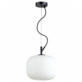 Подвесной светильник Odeon Light Roofi черный арт. 4753/1