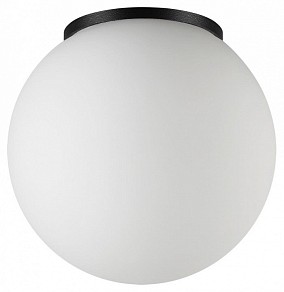 Накладной светильник Odeon Light NATURE черный арт. 7124/1C
