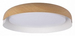 Накладной светильник Loft it Coin белый арт. 10198 White