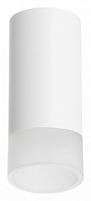 Накладной светильник Lightstar Rullo белый арт. R43631