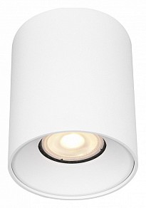 Накладной светильник ST-Luce ST167 белый арт. ST167.502.01