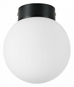 Накладной светильник Lightstar Globo черный арт. 812017