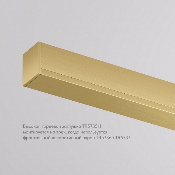 Заглушка Denkirs SHINE BASE  арт. TR5735H-SB