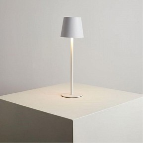 Настольная лампа декоративная Arte Lamp Fuyue белый арт. A1614LT-1WH