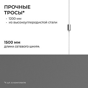 Подвесной светильник Apeyron Electrics OLA черный арт. R30-047