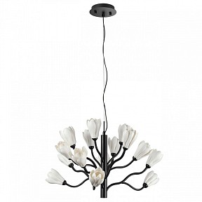 Подвесная люстра Odeon Light Gardi черный арт. 5090/15
