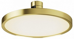 Накладной светильник Maytoni Plato латунь арт. TR153-1-10W3K-BS