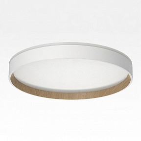 Накладной светильник Citilux ETALON белый арт. CL750320R