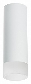 Накладной светильник Lightstar Rullo белый арт. R48631