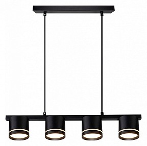 Подвесной светильник Arte Lamp Legacy черный арт. A8024SP-4BK